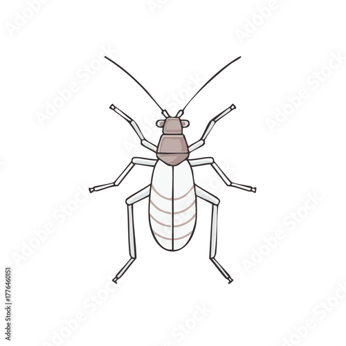 Stylized booklouse insect vector illustration from a top view