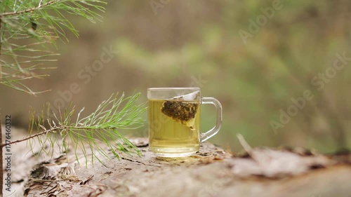 A transparent glass mug with a brewed herbal teabag sits on a log in the forest. Gentle steam rises into the cool air, creating a peaceful, cozy, and natural outdoor atmosphere