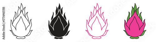 Dragon fruit icon set, summer tropical fruits for healthy lifestyle. Vector illustration .