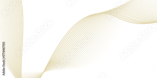 abstract wavy gold lines on transparent background