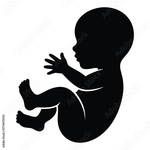 Silhouette of a fetus in a fetal position