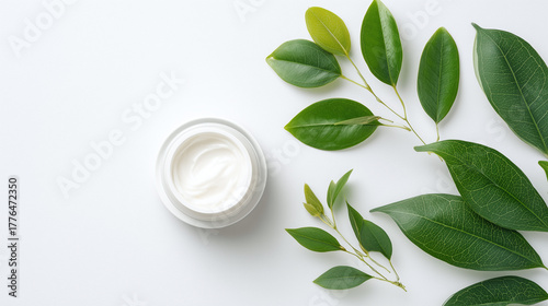 Minimal skincare cream jar flat lay with fresh green leaf white background natural beauty product organic moisturizer clean design healthy skin spa relaxation freshness wellness