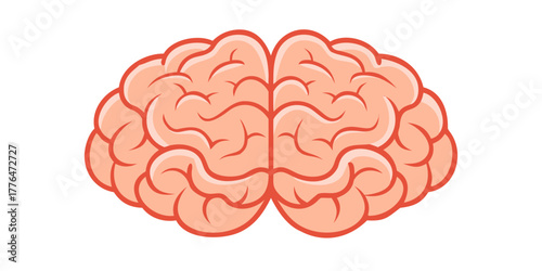 human brain vector illustration.