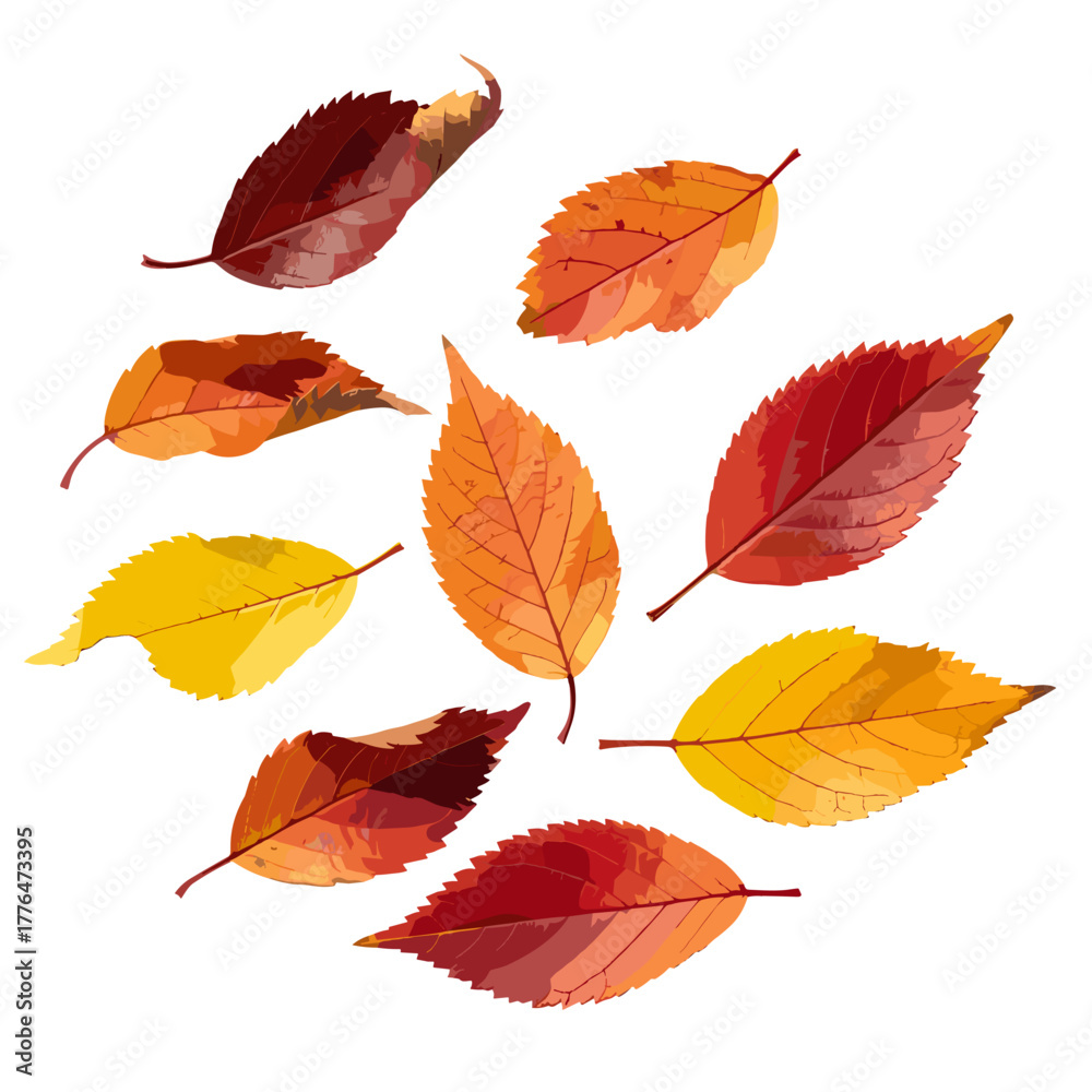 Fototapeta premium Colorful autumn leaves in various shapes and sizes on white background 
