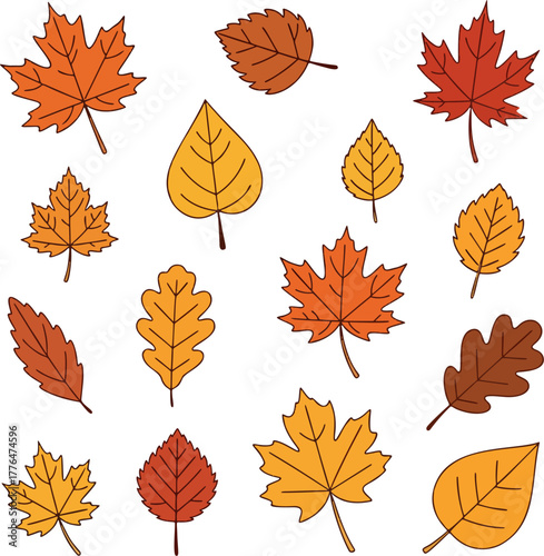 Autumn Leaves Sampler — crisp fall foliage collection with maples, oaks, and birch shapes, warm oranges and golds on white, perfect seasonal thumbnail for Thanksgiving and harvest designs