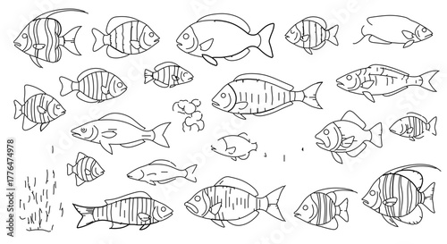 Collection of various fish species diverse range of aquatic life
