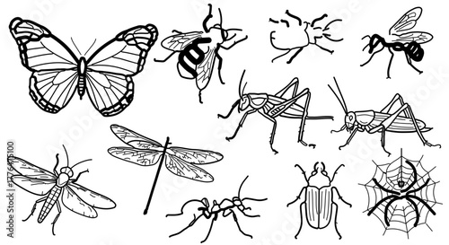 Collection of various insects in black and white line art, including butterfly, bee, ant