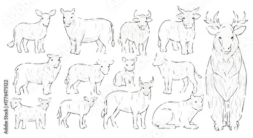 Illustration of various farm animals including sheep, cow, deer, and yak