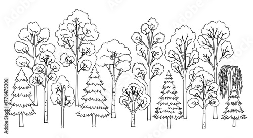A line drawing of a variety of trees, including deciduous and coniferous