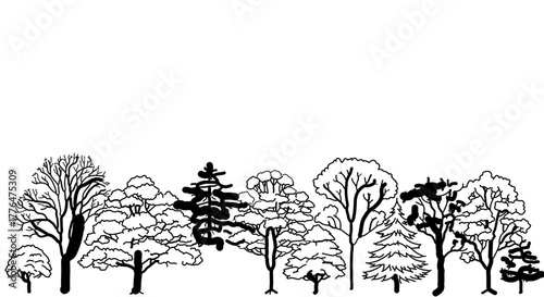 A serene forest landscape showcasing a diverse collection of trees in a natural setting