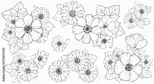Floral arrangement of daisies and leaves in a delicate black and white line art style