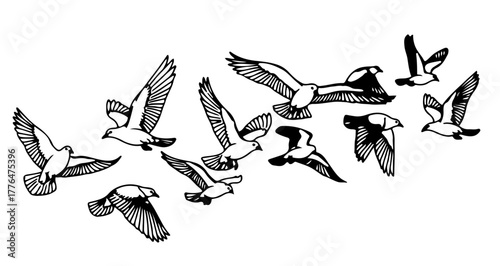 Flock of birds flying in the sky, hand drawn vector illustration