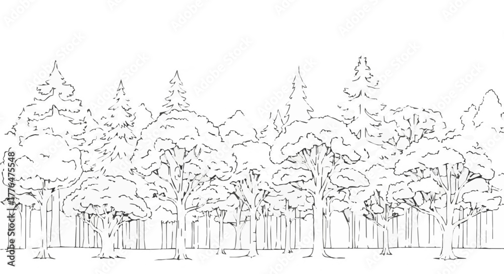 Obraz premium Line art illustration of a forest with various trees, capturing natures beauty