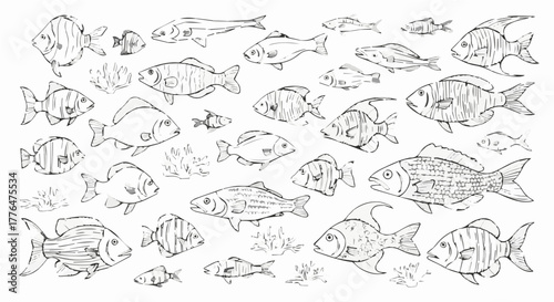 Hand drawn sketch of a school of fish swimming together simple line art illustration