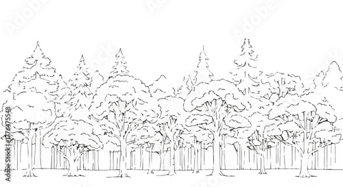 Line art illustration of a forest with various trees, capturing natures beauty