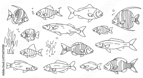 Hand drawn fish collection with various species and sizes for design projects