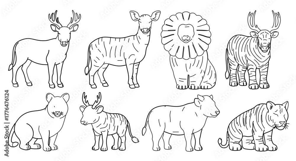 Fototapeta premium Collection of various animals drawn in a simple line art style