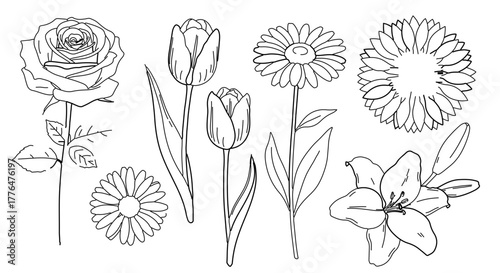 Hand drawn assortment of flowers, including rose, tulip, daisy and lily