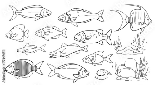 Collection of various fish species, showcasing diverse shapes and sizes