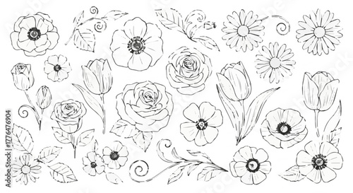 Hand drawn floral elements, including roses, tulips, and other flowers in black line art