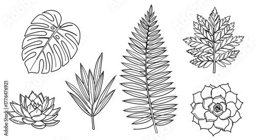 Botanical line art collection assortment of leaves and succulents for nature designs