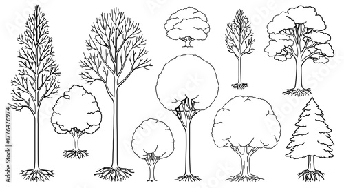 Collection of various tree silhouettes, including deciduous and coniferous types