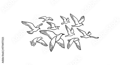 A flock of seagulls flying in the sky, hand drawn illustration