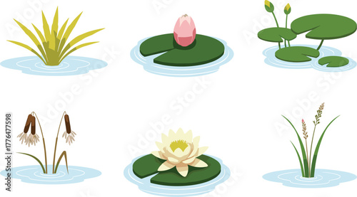 Cartoon aquatic plant set with lotus, lily pads, and marsh grasses, vector illustration for wetland ecosystem and nature concept