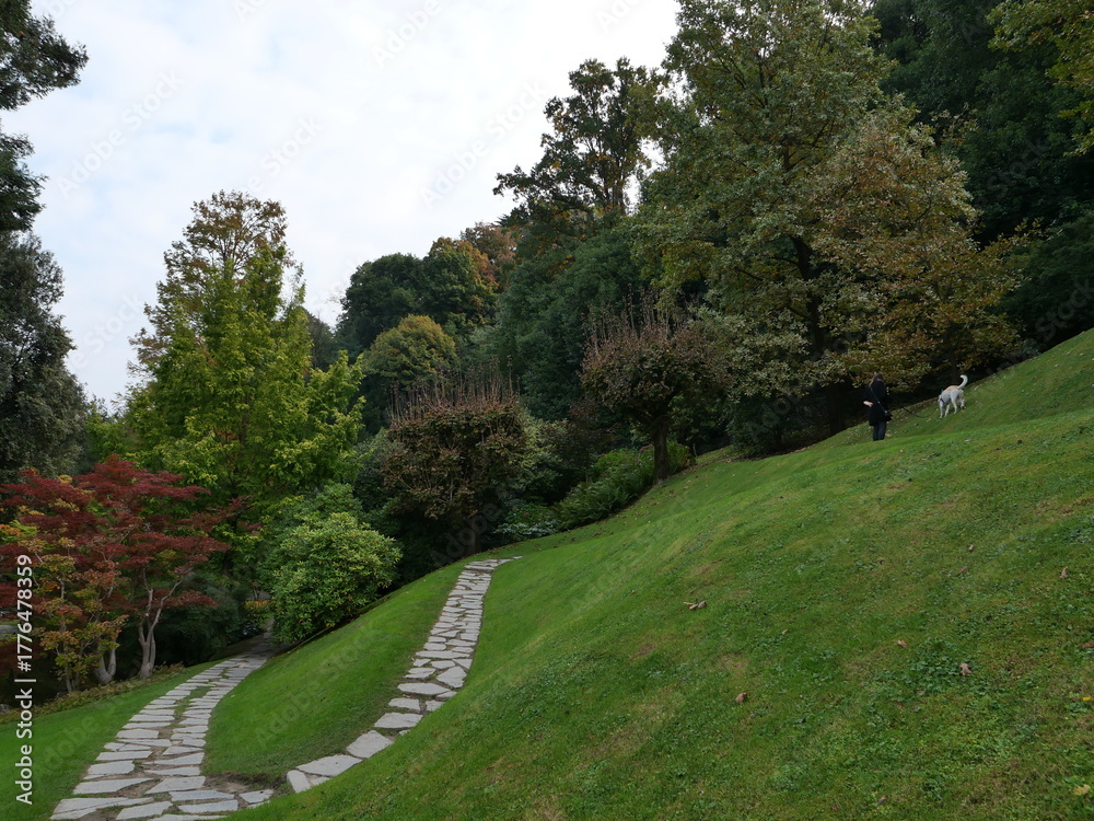 Fototapeta premium Serene Walking Path in a Lush Green Park with Autumn Colors
