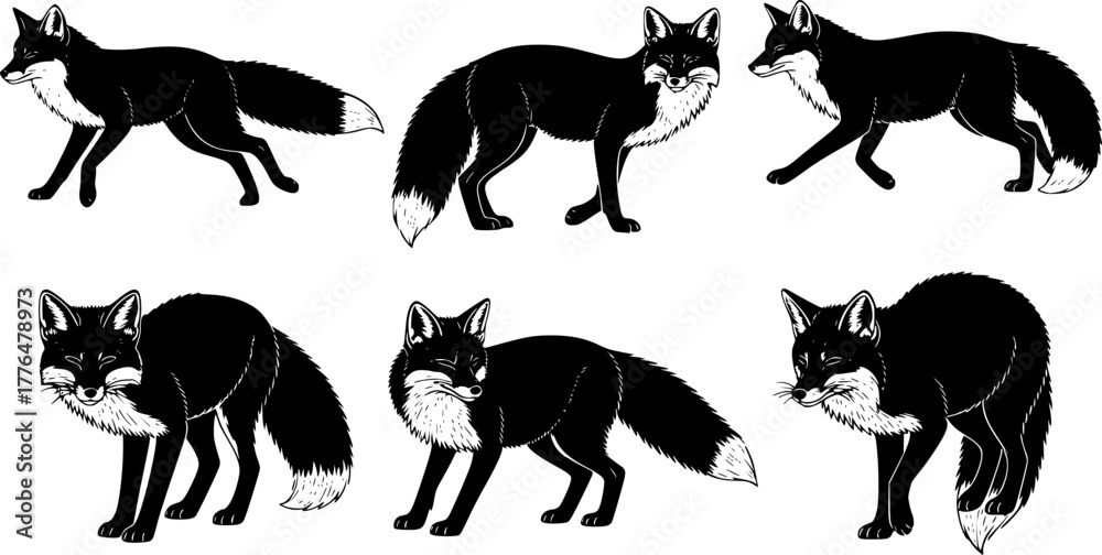 Naklejka premium Silhouette set of foxes, forest red fox, forest wildlife predator sleeping, running, jumping, illustration set on a white background