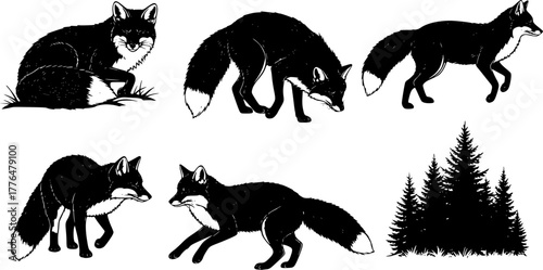 Silhouette set of foxes, forest red fox, forest wildlife predator sleeping, running, jumping, illustration set on a white background