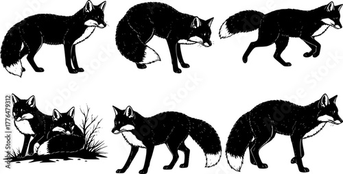 Silhouette set of foxes, forest red fox, forest wildlife predator sleeping, running, jumping, illustration set on a white background