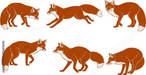 Silhouette set of foxes, forest red fox, forest wildlife predator sleeping, running, jumping, illustration set on a white background