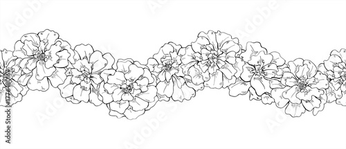 Vector Marigold flower head seamless isolated horizontal banner. Monochrome blooming tagetes flowers etching drawing. Floral pattern for Diwali decorations, Day of the Dead ofrendas, festival posters