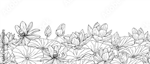 Monochrome blooming Lotus with leaves seamless horizontal banner line art black ink sketch. Vector Water lily vector hand drawn illustration. Water plant patter. Floral ornate for textile, greetings