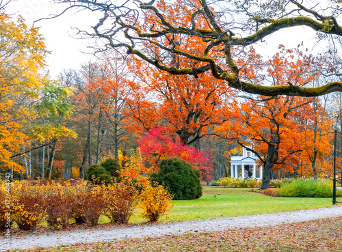 Colorful autumnal cloudy day in old  public park among golden oak trees, pede...