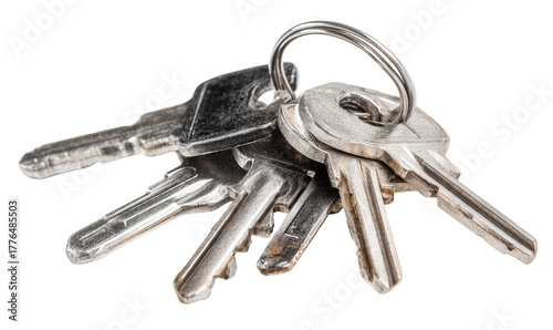 Close-up of a bunch of keys on a metal ring.  Several keys of varying sizes and shapes are clustered together, with some showing signs of wear. The metal key ring is visible