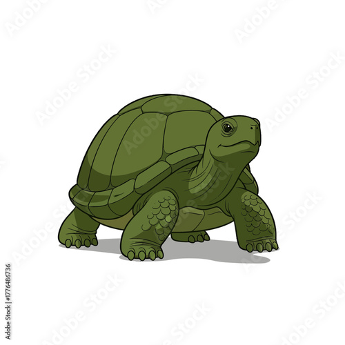 Majestic turtle illustration ready for adventure, a symbol of longevity and wisdom, perfect for educational materials and conservation projects