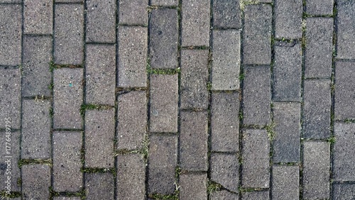 Tableau sur toile aged brick pavement closeup with moss sprouting in weathered cracks rustic urban