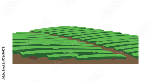Vast green farmland with rows of crops in flat style design
