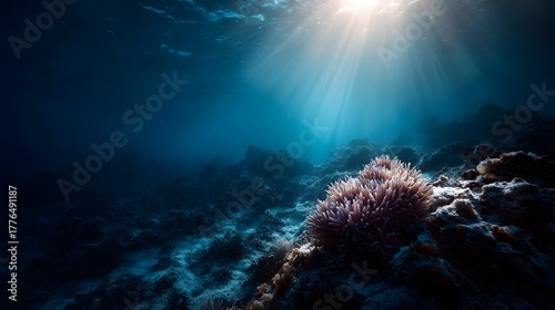 Fototapeta Naklejka Na Ścianę i Meble -  Sunlight streams through the deep blue ocean illuminating a vibrant coral reef on the seabed