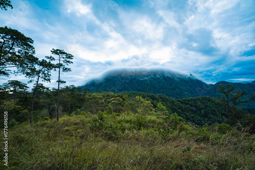 Misty Morning at Phu Soi Dao National Park, Thailand