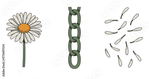 Daisy Flower with Stem, Chain, and Scattered Petals | Whimsical Floral Illustration for Jewelry Design, Eco-Friendly Fashion, and Botanical Education Resources