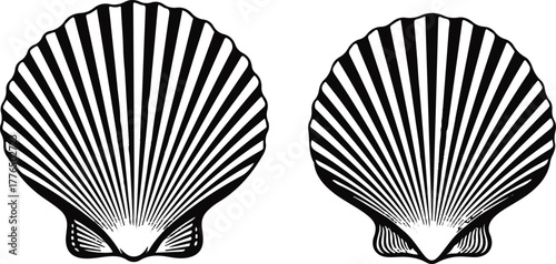 Two Black Silhouettes of Scallop Shells Keywords: scallop, shell, seashell, marine, ocean, beach
