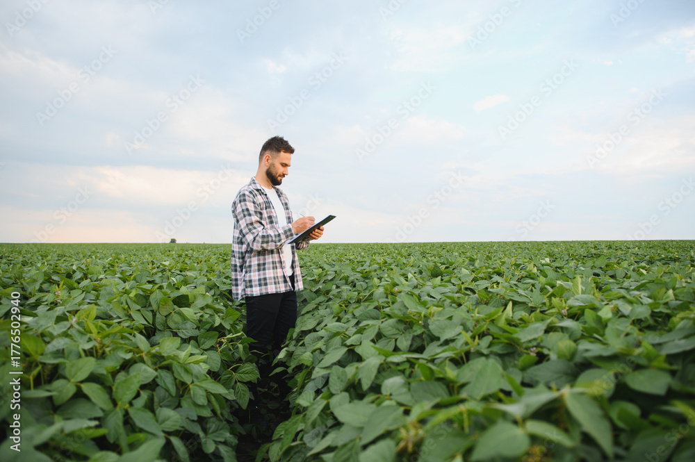 Fototapeta premium Agronomist taking notes in soybean field during inspection