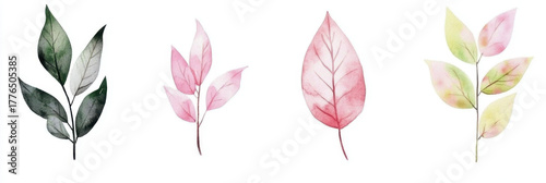 watercolor green leaves elements. Collection botanical vector isolated on white background