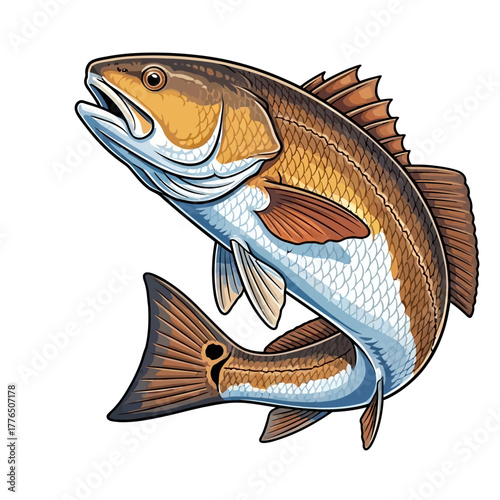 redfish fishing illustration logo vector image t shirt