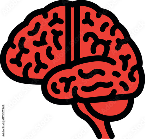 Human brain anatomy illustration Vector