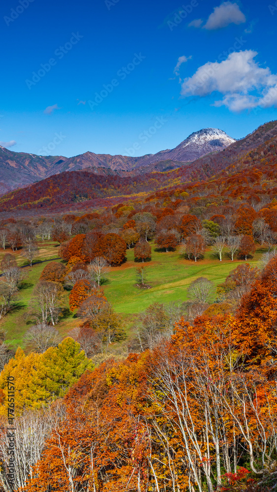 Fototapeta premium 新潟焼山と紅葉 秋の新潟 笹ヶ峰 絶景 縦構図