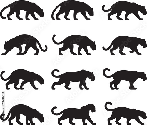Elegant Feline Silhouette Walking Crouching Prowling Wild Predator Animal Collection